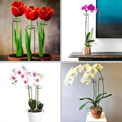 پایه نگهدارنده گل و گیاه بسته 6 عددی